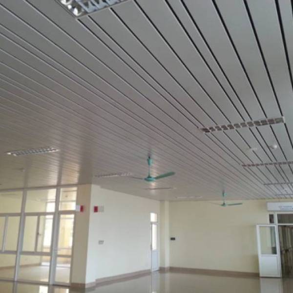 TRẦN SỌC B-SHAPED